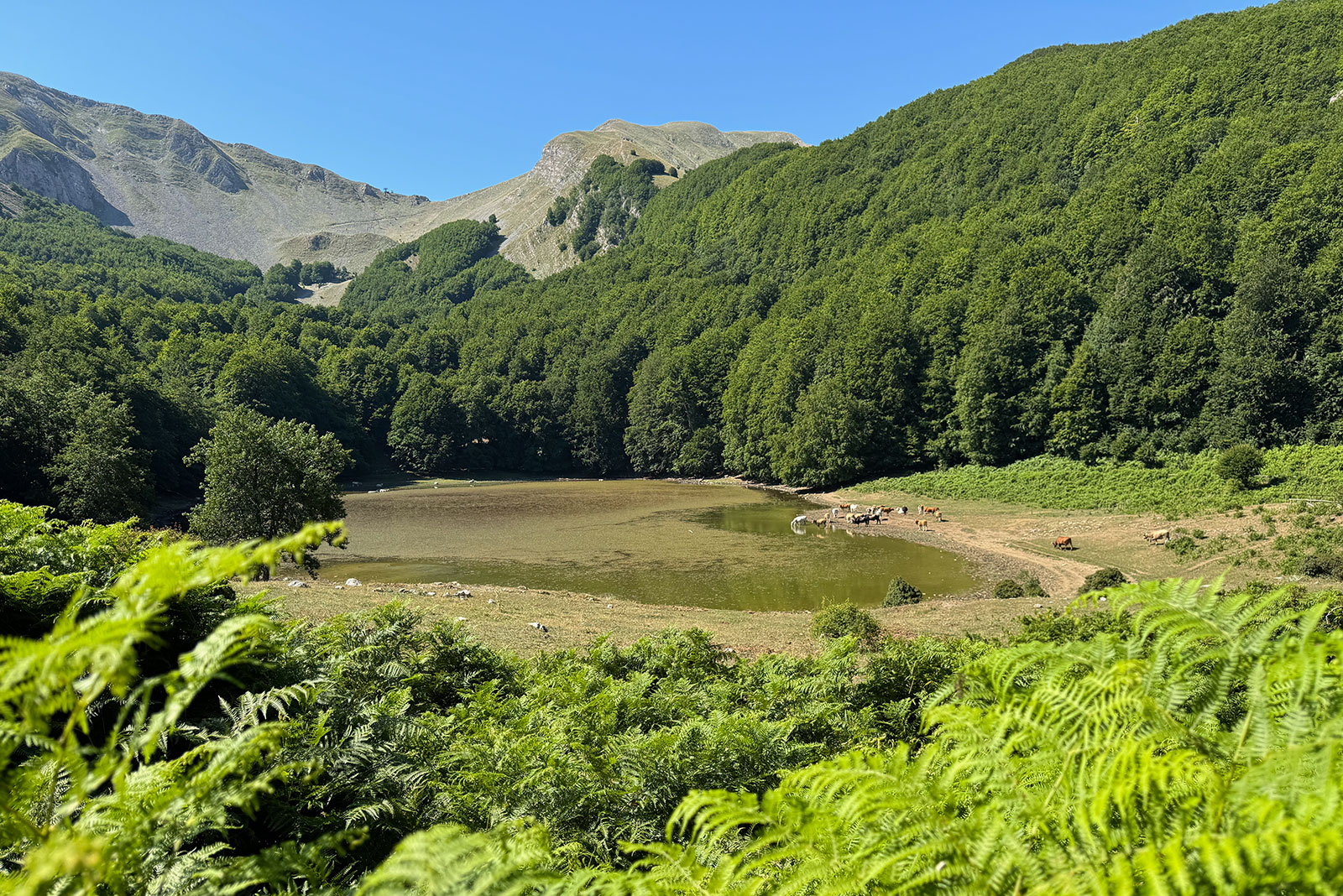 Lago Laudemio Sirino