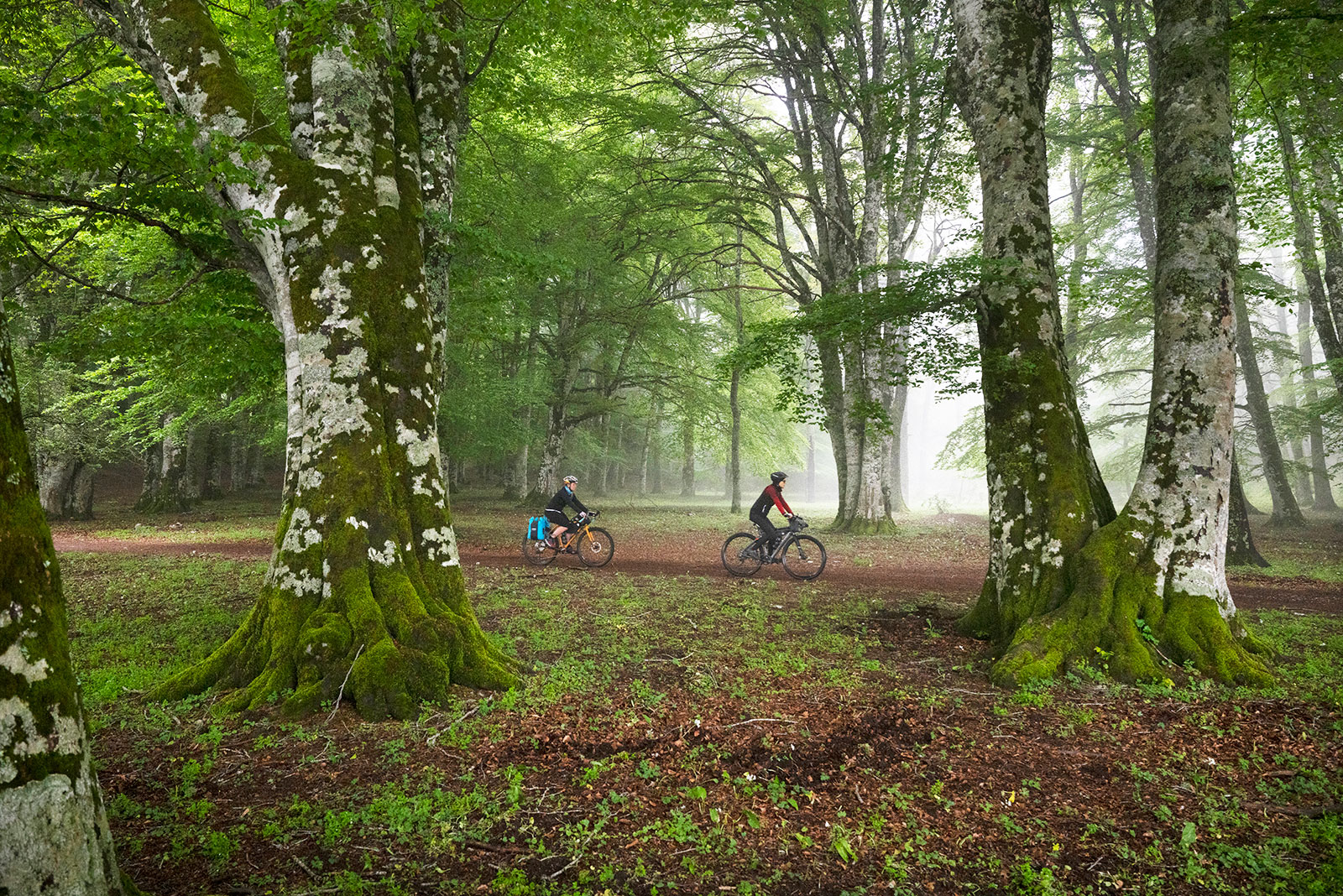 Bici alla Piana del Lago