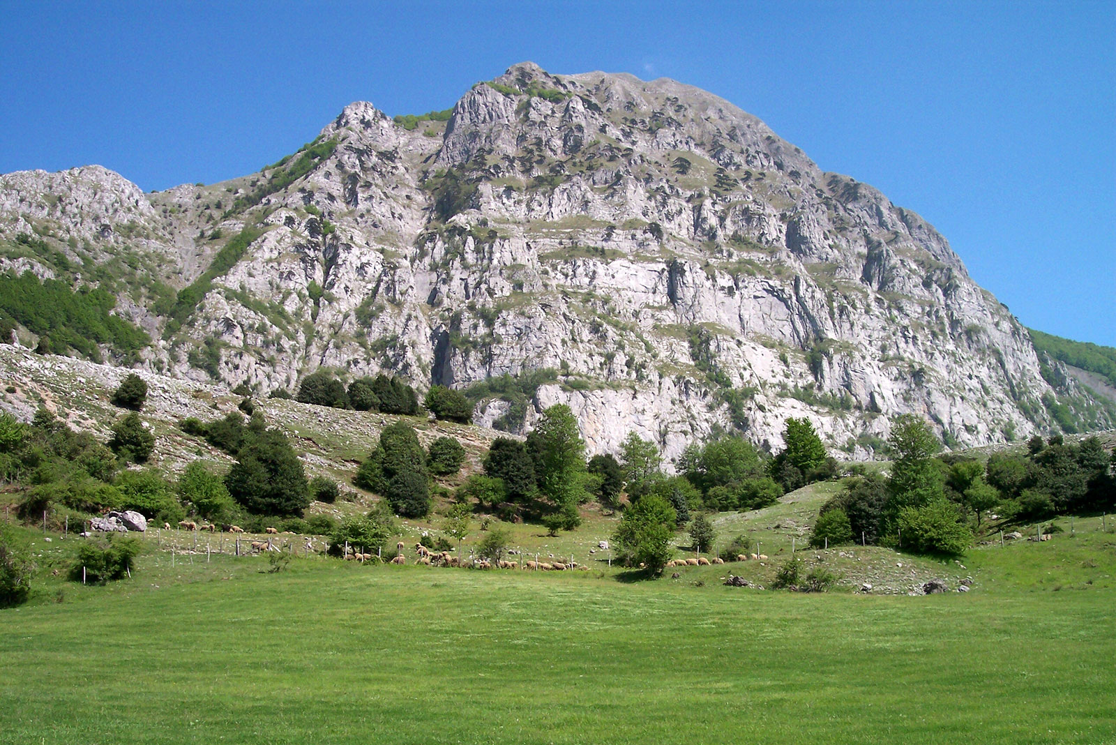 Monte Alpi