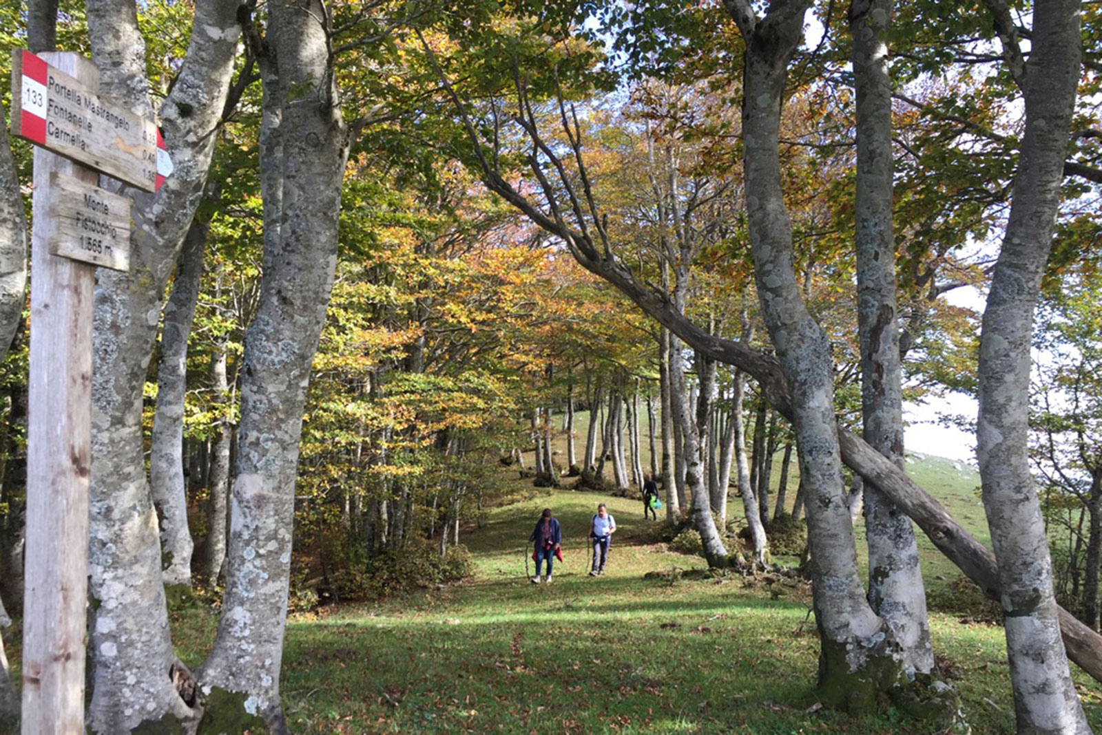 Monte Fistocchio