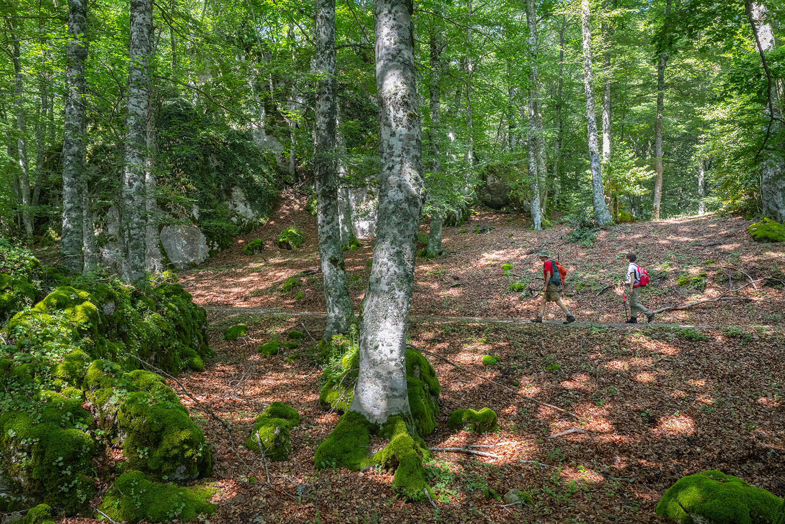 Cammino dei Cinti - Appennino Lucano